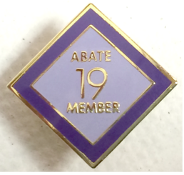 Members 19 Year Pin
